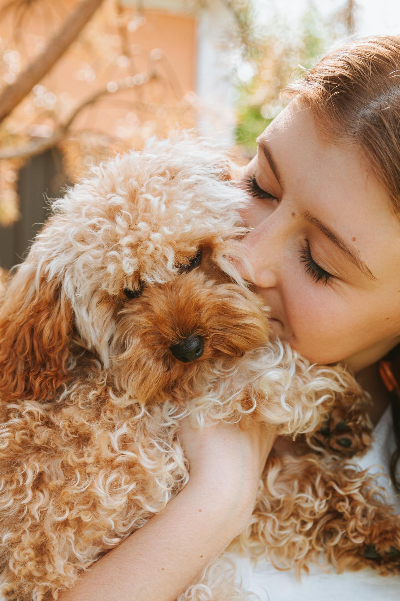 Pet Care
