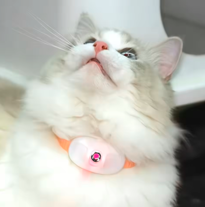 Cat Laser Toy