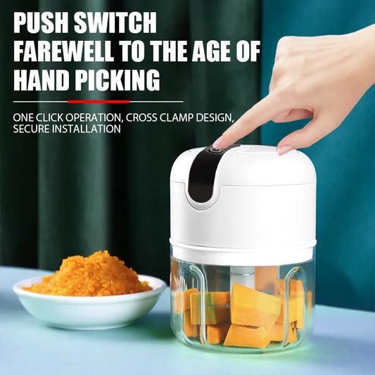 Mini Electric Food Grinder