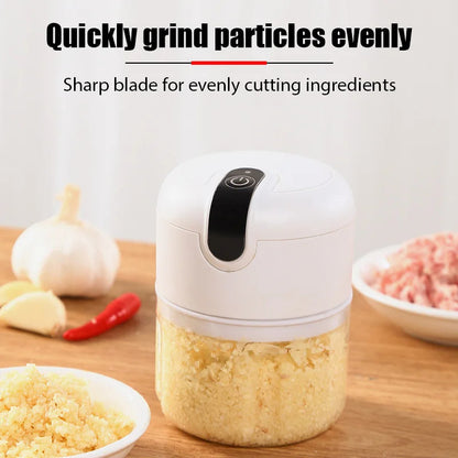 Mini Electric Food Grinder