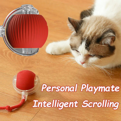 Cat Ball Toy with Rope