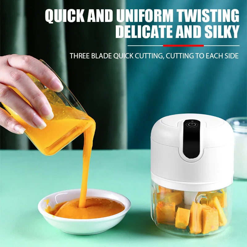 Mini Electric Food Grinder