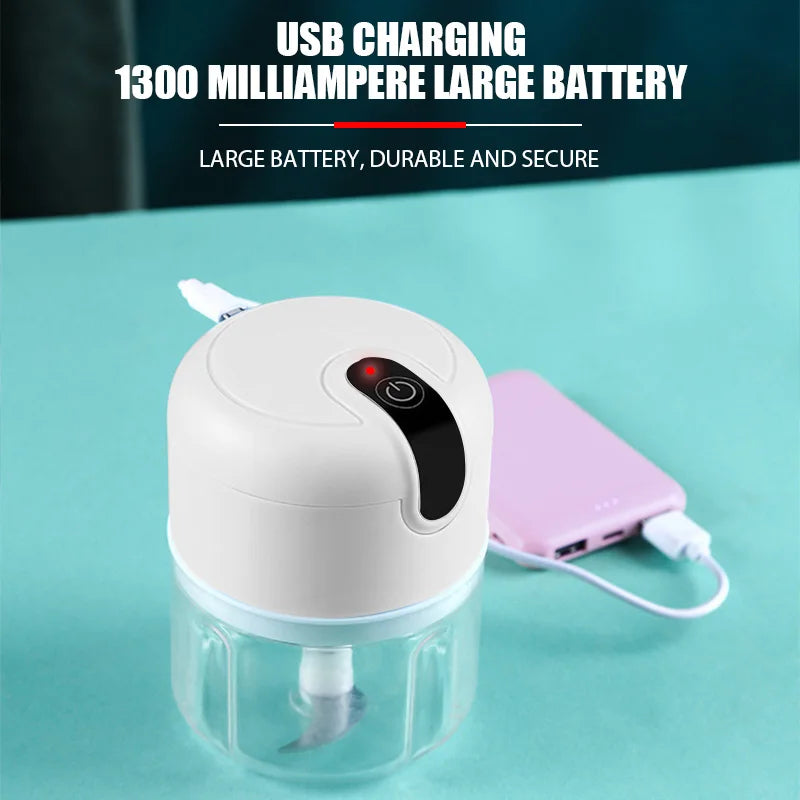 Mini Electric Food Grinder