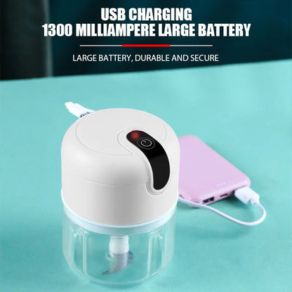 Mini Electric Food Grinder