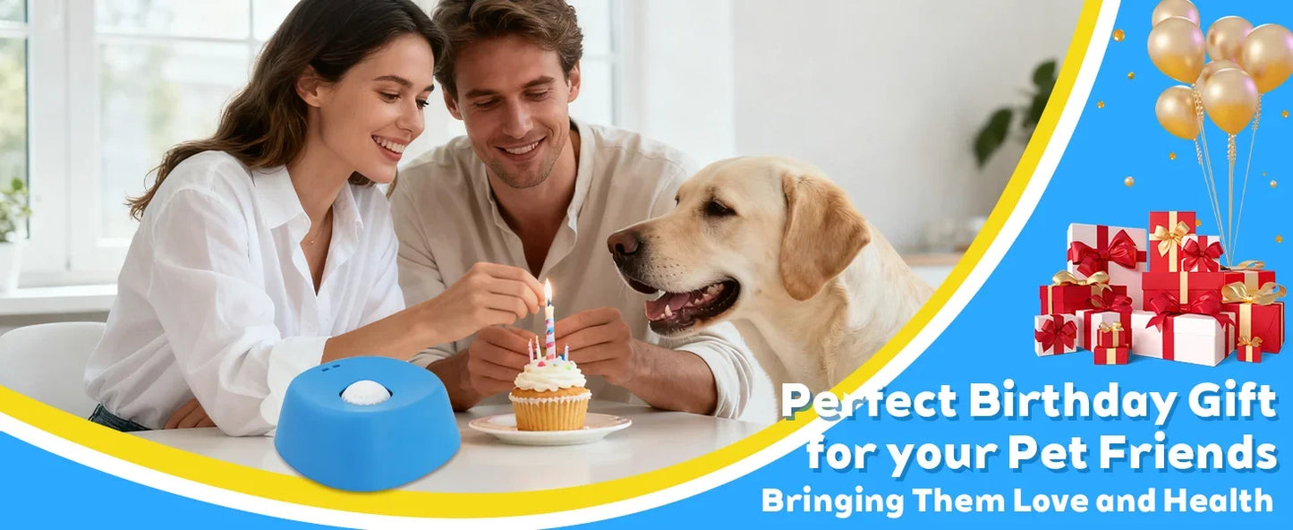 Dog Treat Slow Feeder