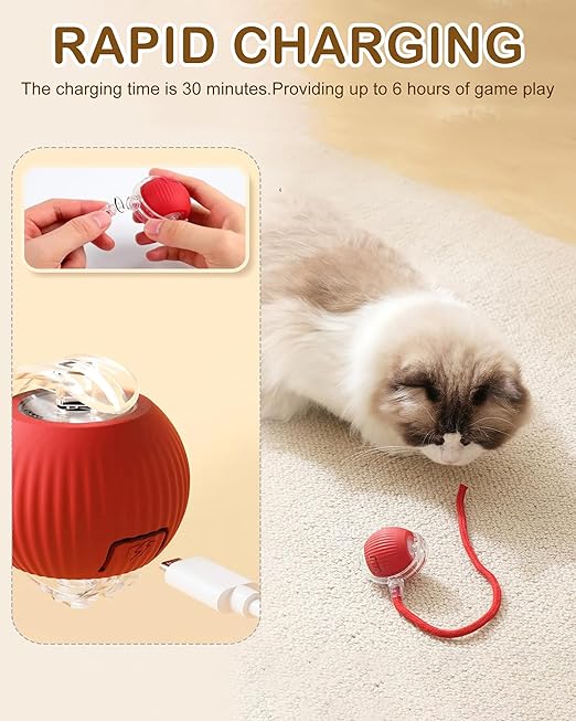 Cat Ball Toy with Rope