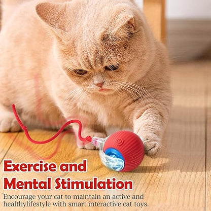 Cat Ball Toy with Rope