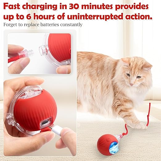 Cat Ball Toy with Rope