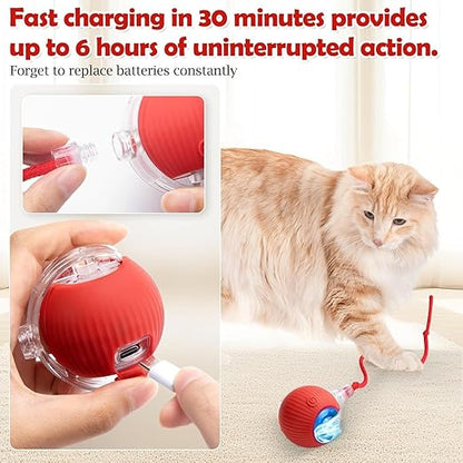 Cat Ball Toy with Rope