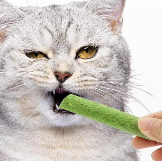 Cat Grass Stick